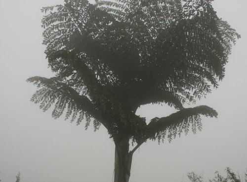 Souvenir du voyage de Michel, Vietnam