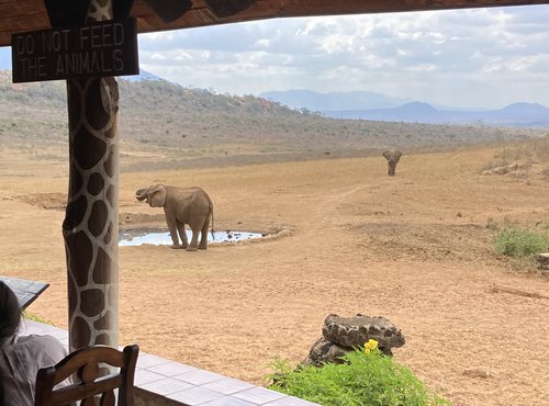 Souvenir du voyage de Laurence, Kenya