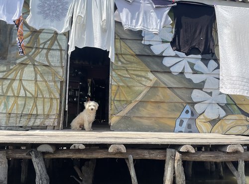 Souvenir du voyage de Aurelien, Colombie