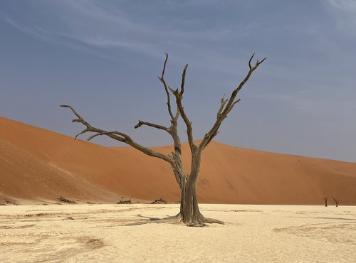 Souvenir du voyage de Fanny, Namibie