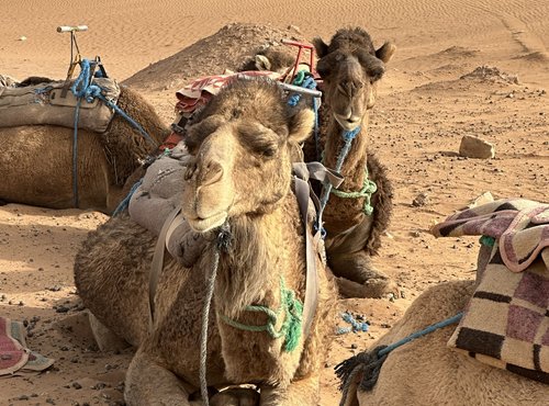 Souvenir du voyage de Béatrice, Maroc