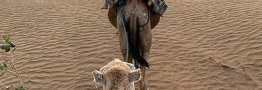 Souvenir du voyage de Béatrice, Maroc