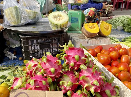 Souvenir du voyage de Carole, Vietnam