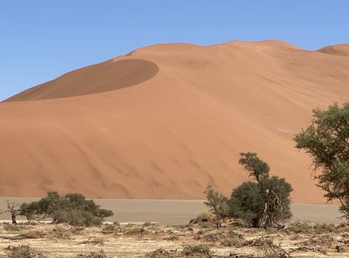 Souvenir du voyage de Max, Namibie