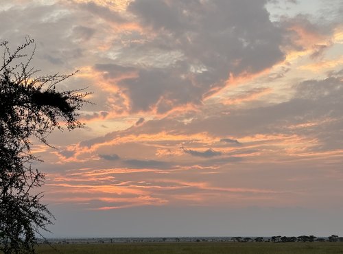 Souvenir du voyage de Alexia, Tanzanie