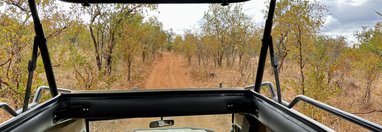 Souvenir du voyage de Vincent, Tanzanie