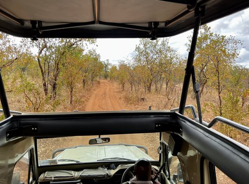 Souvenir du voyage de Vincent, Tanzanie