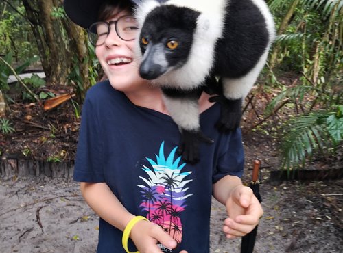 Souvenir du voyage de Aurélie, Madagascar