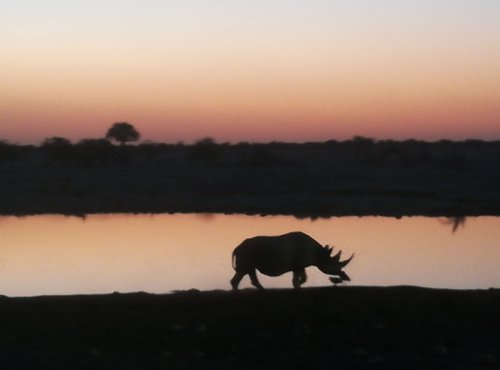 Souvenir du voyage de Carine, Namibie