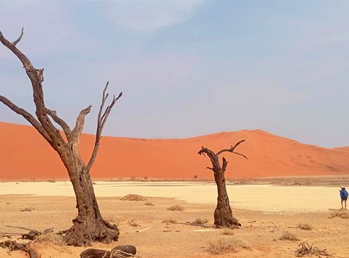 Souvenir du voyage de Carine, Namibie