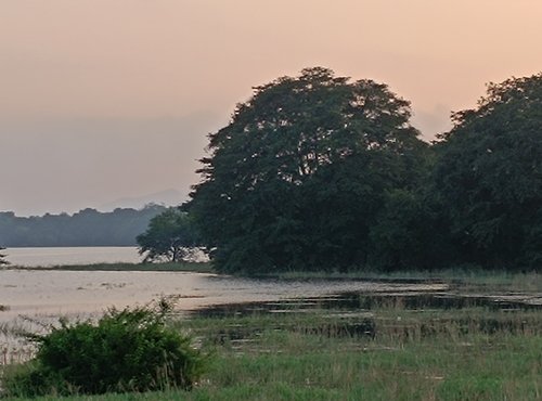 Souvenir du voyage de Claire, Sri Lanka