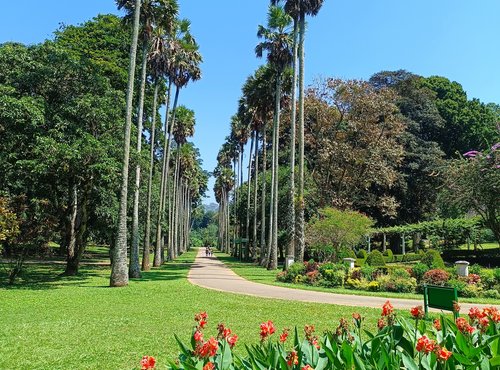 Souvenir du voyage de Claire, Sri Lanka