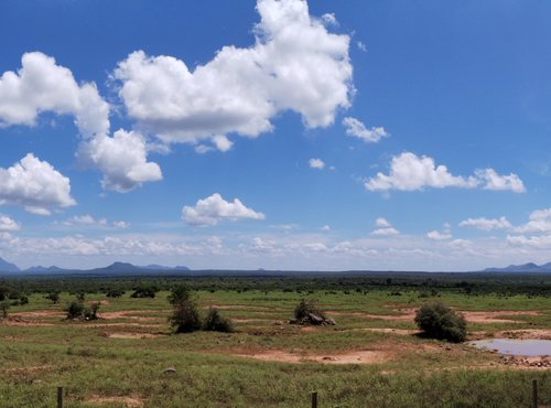 Souvenir du voyage de Katherine, Kenya