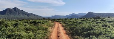 Souvenir du voyage de Katherine, Kenya