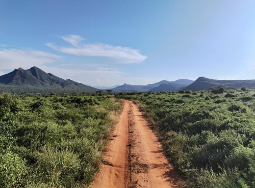 Souvenir du voyage de Katherine, Kenya