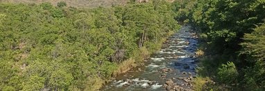 Souvenir du voyage de Sarah, Afrique du Sud