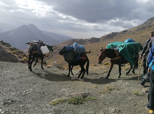 Souvenir du voyage de Fabienne, Maroc