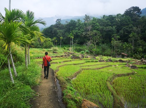 Souvenir du voyage de Noemie, Sri Lanka