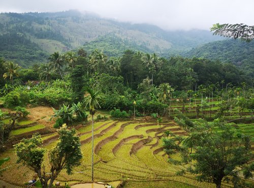 Souvenir du voyage de Noemie, Sri Lanka