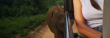 Souvenir du voyage de Noemie, Sri Lanka