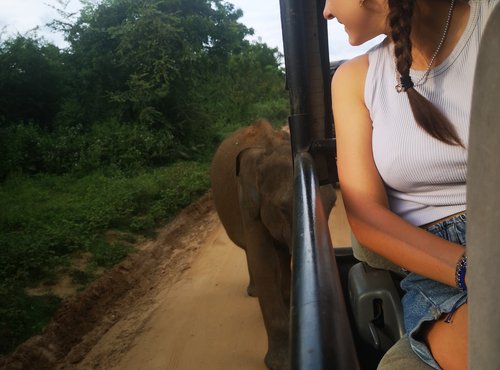Souvenir du voyage de Noemie, Sri Lanka