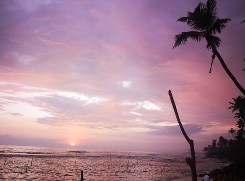 Souvenir du voyage de Noemie, Sri Lanka