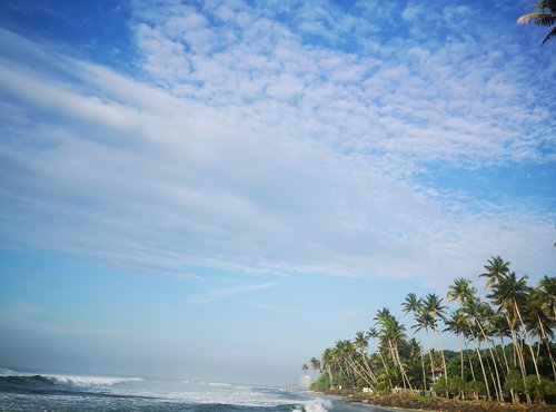 Souvenir du voyage de Noemie, Sri Lanka