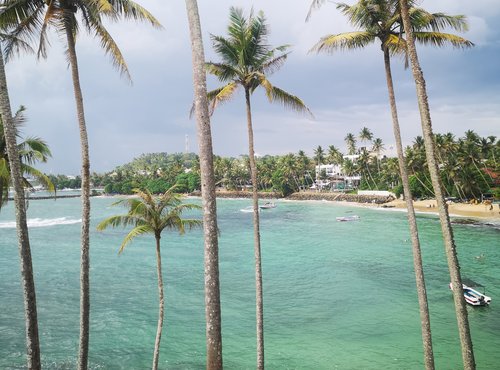 Souvenir du voyage de Noemie, Sri Lanka