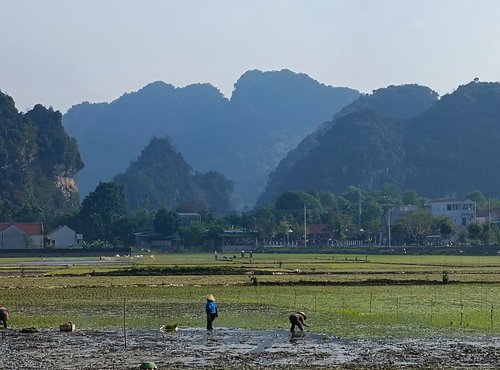 Souvenir du voyage de Julien, Vietnam