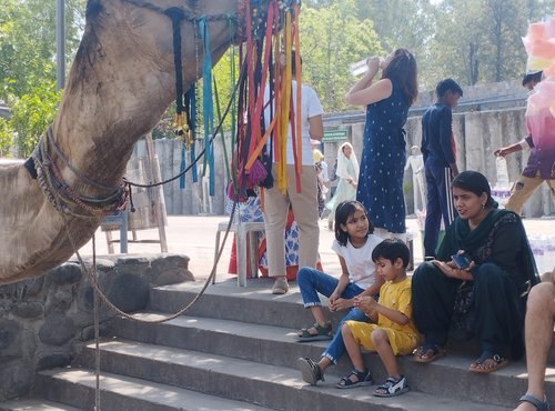 Souvenir du voyage de Stéphan, Inde