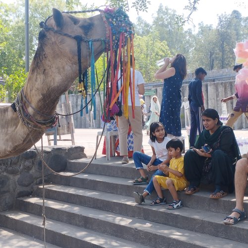 Souvenir du voyage de Stéphan, Inde