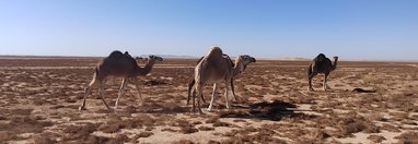 Souvenir du voyage de Myriam, Maroc