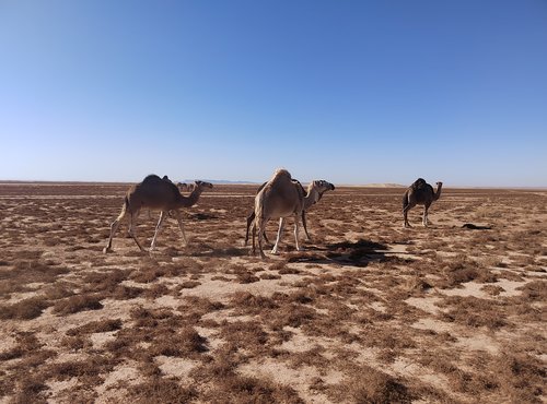 Souvenir du voyage de Myriam, Maroc