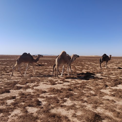 Souvenir du voyage de Myriam, Maroc