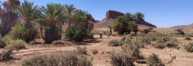 Souvenir du voyage de Myriam, Maroc