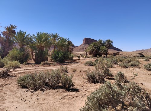 Souvenir du voyage de Myriam, Maroc