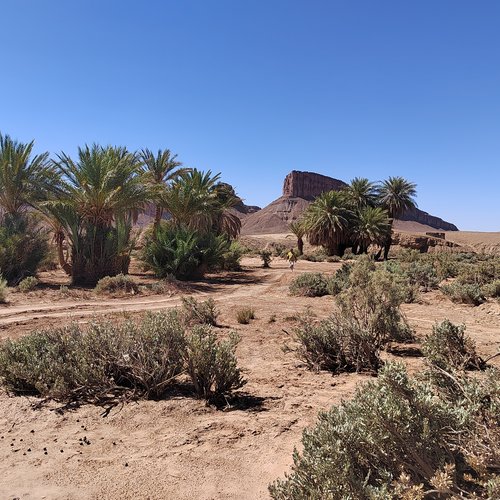 Souvenir du voyage de Myriam, Maroc