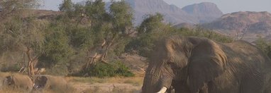 Souvenir du voyage de Emilie, Namibie