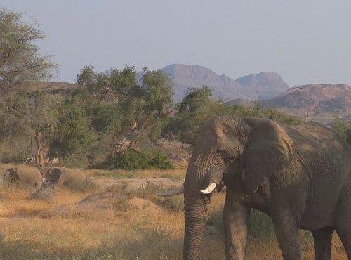Souvenir du voyage de Emilie, Namibie