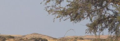 Souvenir du voyage de Emilie, Namibie
