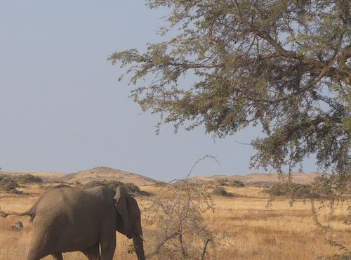 Souvenir du voyage de Emilie, Namibie