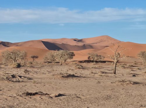 Souvenir du voyage de Emilie, Namibie