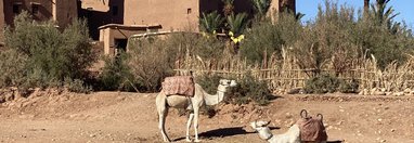 Souvenir du voyage de Maryline, Maroc