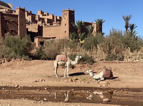 Souvenir du voyage de Maryline, Maroc
