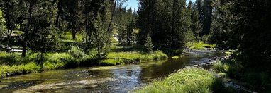 Souvenir du voyage de Béatrice, Etats Unis