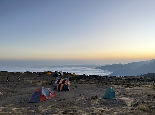 Souvenir du voyage de Sophie, Tanzanie