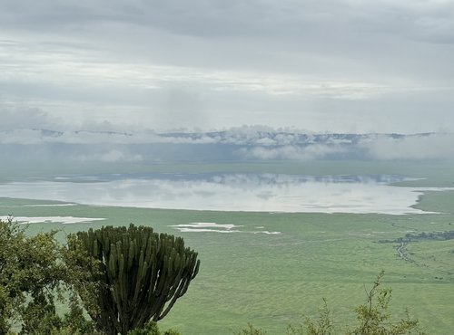 Souvenir du voyage de Charly, Tanzanie