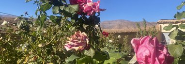Souvenir du voyage de Maryline, Maroc