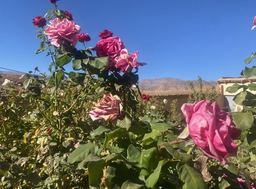 Souvenir du voyage de Maryline, Maroc