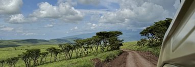 Souvenir du voyage de Charly, Tanzanie